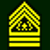 Command Sergeant Major